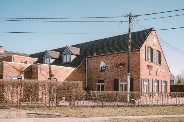 Dockx Stays Calimero Retie 00034