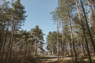 Wandeling Put van Rauw