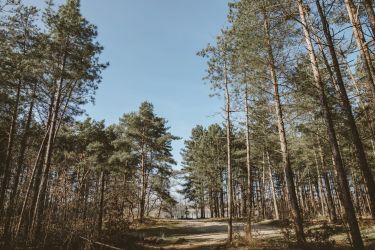 Wandeling Put van Rauw